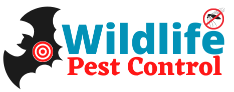 Wildlife-Pest-Control-Service-Singapore